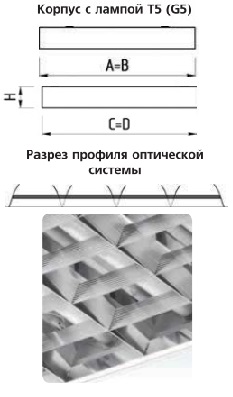 �������. �����